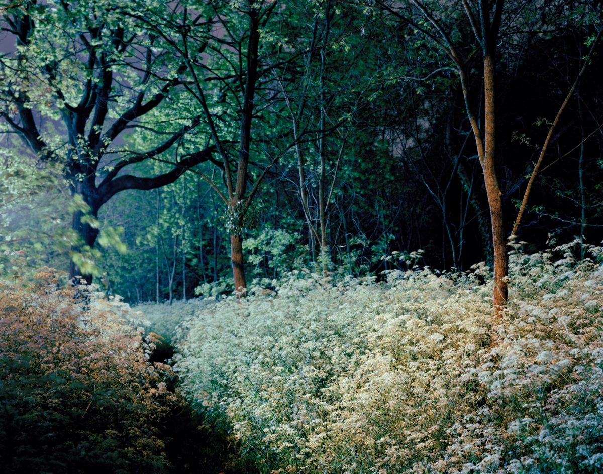 Jour de fêtes, Camera Clara award, 2016